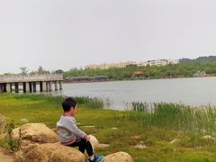 -洛龙公园