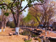-三里河公园