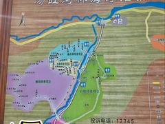 -汤旺河林海奇石景区