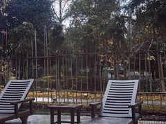 -三江森林温泉度假区