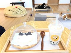 -南京Hallo宠物乐园·哈罗犬舍·柴犬繁育基地