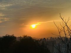 -金鸡山公园