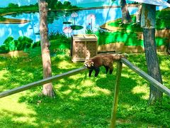 -西霞口神雕山野生动物世界