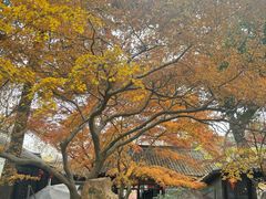 -虞山风景区