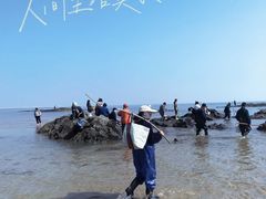 -巧克力渔家.小船海鲜胶东菜(万平口店)