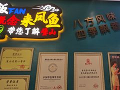-新概念来凤鱼(璧山店)