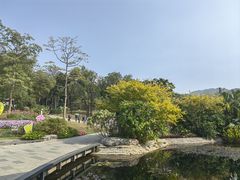 -云溪植物园