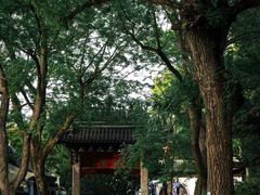 -汇龙潭