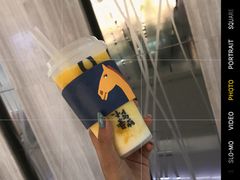 -春丽小马(济南恒隆广场店)