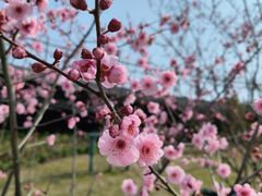 -宁波儿童公园(鄞州区)