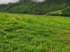 -硗碛藏寨·神木垒景区