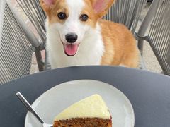 -Wagas沃歌斯(深圳印力中心店)