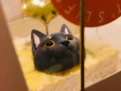 -猫咖时代(中山亭店)