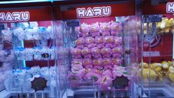 -晴空乐园(东厦100店)