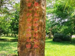 -红色娘子军纪念园