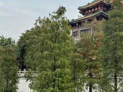 -顺峰山公园