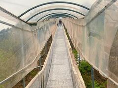 -蓟州溶洞风景区