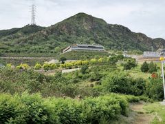 -密云玫瑰情园