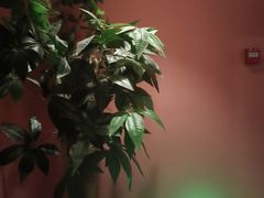 -泰融玺·泰式按摩SPA(包河万达店)