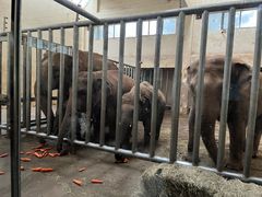 -石家庄市动物园