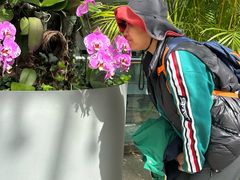 -北京植物园-展览温室