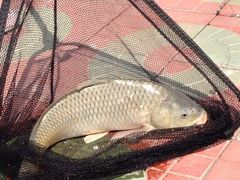 iphone_upload_pic-古韵山庄