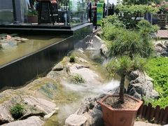 -蘇河湾·新鲁菜·泰山宴(泰山店)