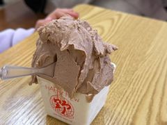 -野人先生Gelato(上海长宁龙之梦店)