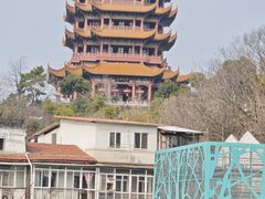 -小秋水饺(大成路总店)