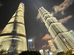 -The lounge 柏悦酒店大堂酒廊(上海环球金融中心店)