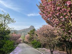 -威海大乳山景区