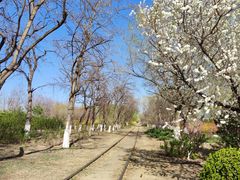 -永定河休闲森林公园