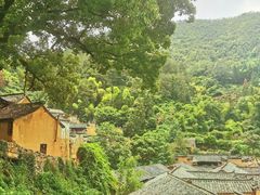 -杨家堂村