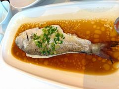 广式葱油海鲈鱼-醉辉皇原味海鲜江南菜(成都大魔方店)