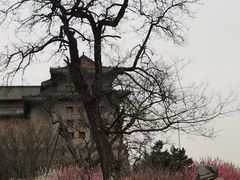 -北京明城墙遗址公园