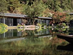 -云溪植物园
