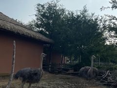 -祥源·阜阳生态乐园