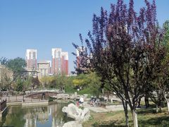 -绿岛公园(滨海新区)