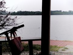 -丁香湖公园