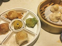 -点都德·毕德寮