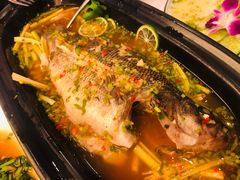 明炉鲈鱼-阿诺泰·泰国餐厅(紫荆店)