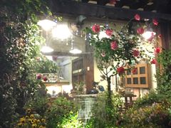 -C31地窖餐厅(黑龙江北路店)