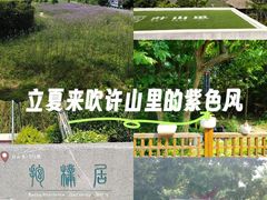-冶父山国家森林公园