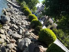 -大理洱海