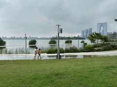 -金鸡湖景区