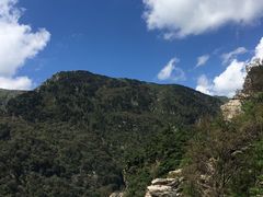 -牛背梁国家森林公园