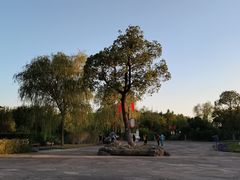 -梁鸿国家湿地公园