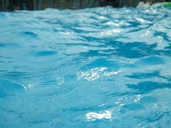 -重庆海昌加勒比海水世界