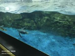 -南昌海洋公园
