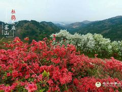 -木兰云雾山
